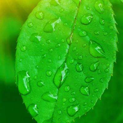 安博.体育app下载